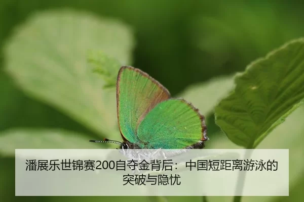 pan-zhan-le-shi-jin-sai-zi-duo-jin-bei-hou-zhong-guo-duan-ju-li-you-yong-de-tu-po-yu-yin-you-3-118.jpg